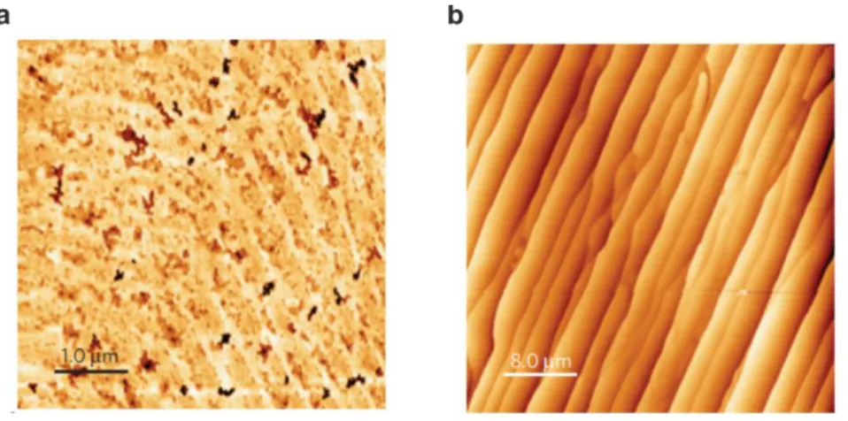 Fig. 2.10. Morphology of epitaxial graphene growth in UHV and in Ar atmosphere. (a) AFM image  of monolayer graphene on SiC formed by annealing SiC in UHV