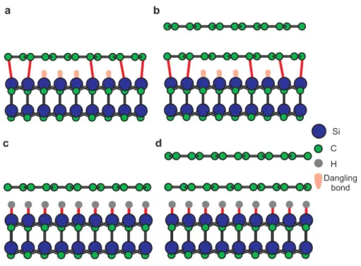 Fig. 2.12. Structural model of buffer layer, monolayer graphene and QFSG graphene. Schematic  side view of (a) buffer layer with the carbon layer partially covalently bonded to the Si atoms of the SiC  substrate, (b) as-grown monolayer graphene, (c) free s