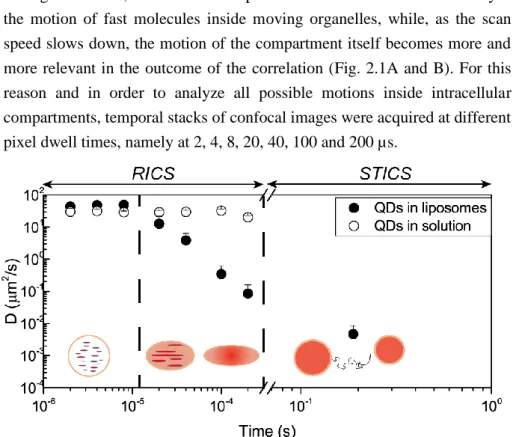 Figure 2.3 Diffusion coefficients of QDs within liposomes at different pixel dwell times