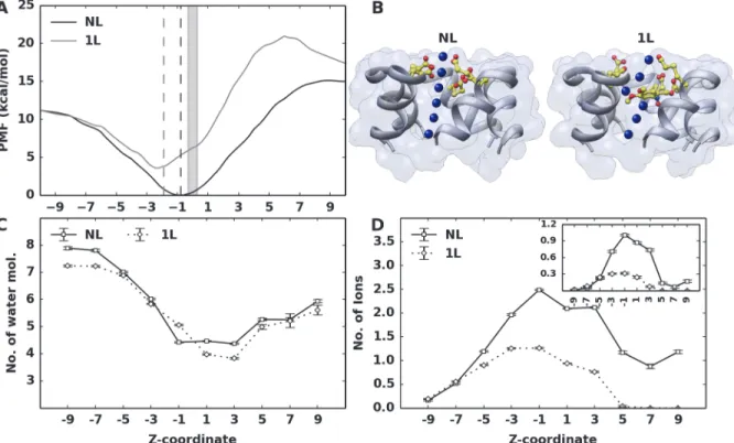 Fig 3. PMF profile, water and ion coordination around the potassium ion. (A) PMF profile as a function of the z-coordinate