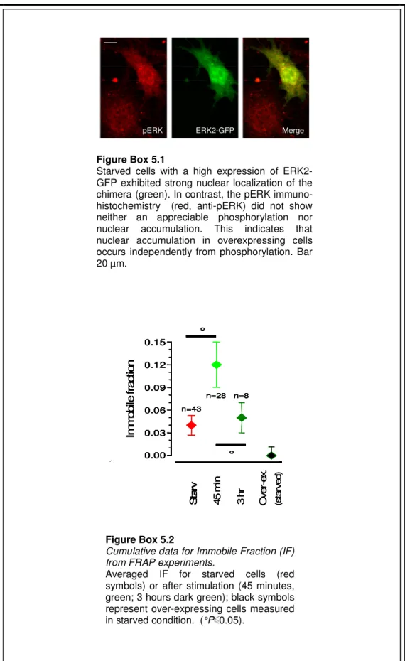 Figure Box 5.1 