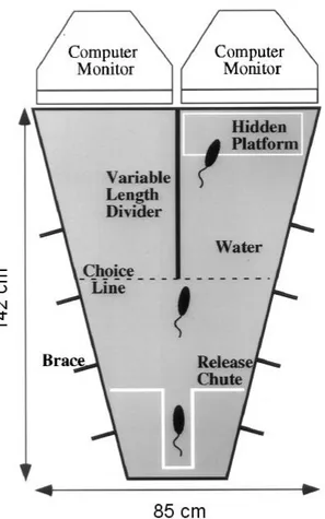 Fig. 1 - View from above showing the major components of the visual  water box including  pool, midline divider, platform, starting chute and two monitors