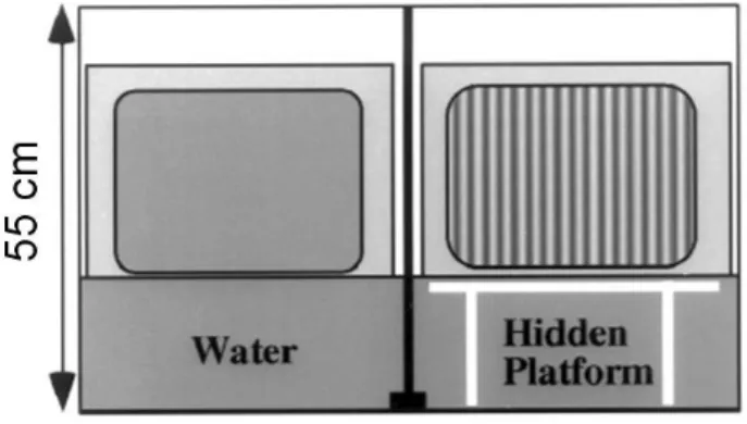 Fig. 2 - Front view showing monitor screens, submerged platform and midline divider.  Modified from Prusky et al