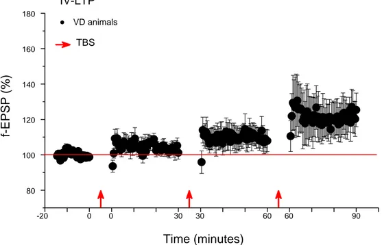 Fig. 14 - In VD animal slices, no significant IV-LTP was present after each induction (Two  Way Repeated Measures ANOVA: baseline vs 1 st  post-TBS period, p&gt;0.05; baseline vs 2 nd post-TBS period, p&gt;0.05; baseline vs 3 rd  post-TBS period, p&gt;0.05