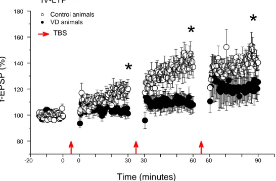Fig. 16 - IV-LTP in control and VD animals slices. The difference of LTP level between the  two groups was statistically significant (Two way Repeated Measures ANOVA, p=0.004)