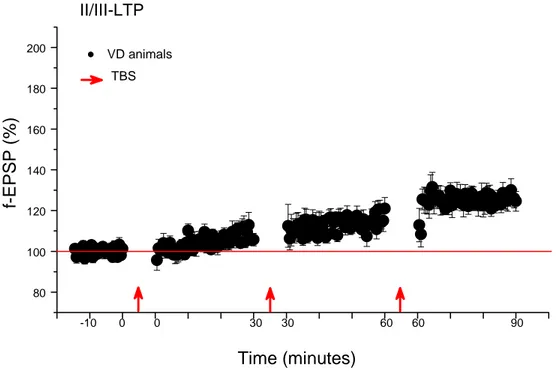 Fig. 18 - In VD animal slices, no significant IV-LTP was present after each induction (Two  Way Repeated Measures ANOVA: baseline vs 1 st  post theta period LTP, p&gt;0.05; baseline  vs 2 nd  post theta period LTP, p&gt;0.05; baseline vs 3 rd  post theta p