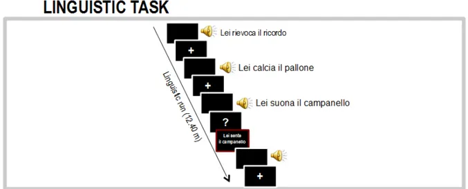 Figure 3. Schematic representation of the experimental procedure during the linguistic task (Study B2).