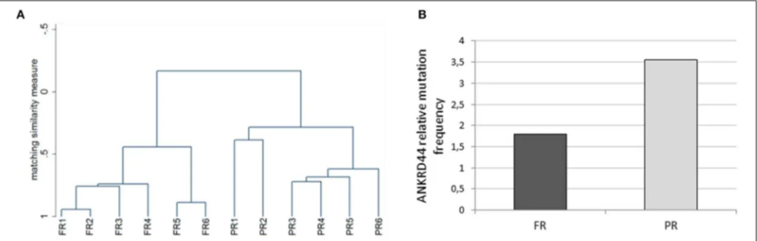 FIGURE 1 | Whole exome analysis. (A) The dendrogram derived from cluster analysis classified 12 Her2 breast cancer patients based on the mutational profile of 18 informative genes