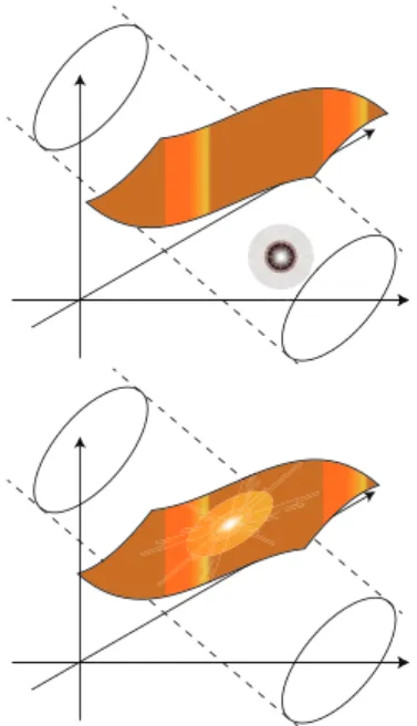 Figura 11: Nella Teoria delle Stringhe lo scenario di Kaluza–Klein è arricchito dalla presenza delle brane