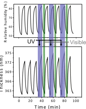 Figure 3.4 Plot of the hydrogel thickness in time, upon exposure to humid air and to UV-