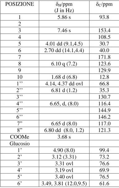 Tabella 2.2 Dati  1 H-NMR e  13 C-NMR, 500 MHz, CD 3 OD, Oleuropeina (2) 