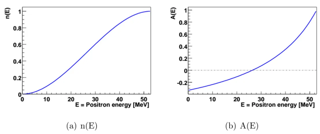 Figure 3.5: Number density and asymmetry distributions for decay positrons in the muon rest frame.