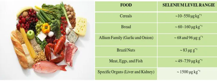 Figure 2. Selenium-rich foods 