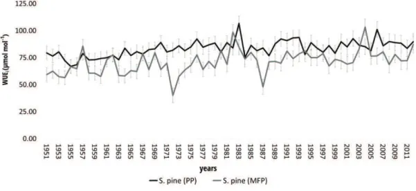 Figure 2b. Mean  WUE i  values with standard deviation for the S. pine growing in the two 