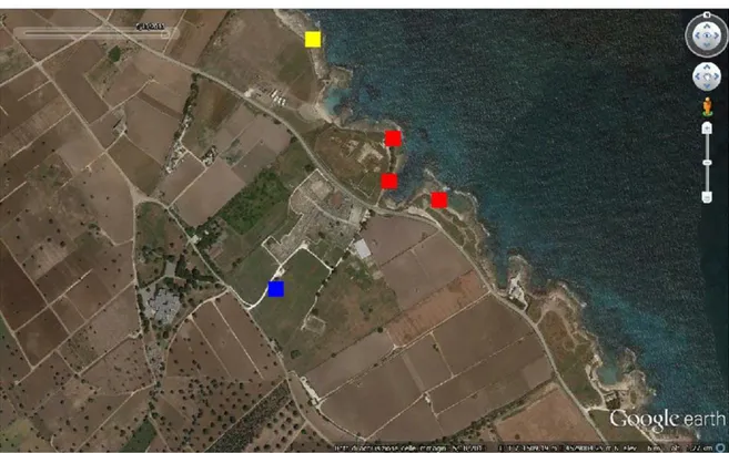 Figura  4.3.  Localizzazione  su  immagine  satellitare©  2013  DigitalGlobe  Inc.  di  Google  Earth™  2013  della  necropoli  litoranea  (rosso),  necropoli  meridionale  (blu)  e  impianto  artigianale (giallo) di età arcaica