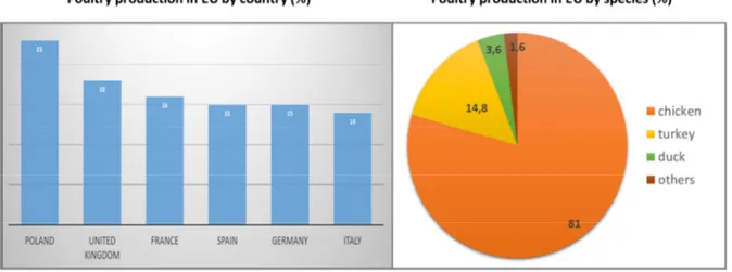 Figure 1.2. European Union poultry production (%) by country (on the left) and by species  (on the right) (Eurostat, 2016)