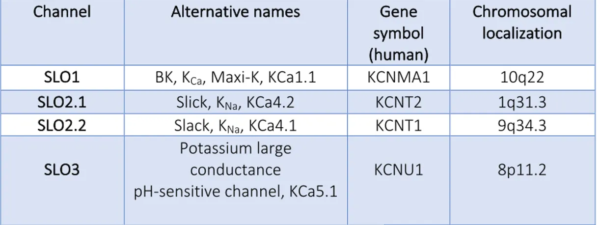 Table	1	SLO	channels	family	genes.	[Adapted	from	Salkoff	et	al.,	2006]. 	