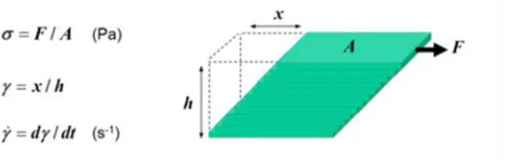 Fig. III.12. Quantification of shear rate and shear stress for layers of fluid sliding over one another