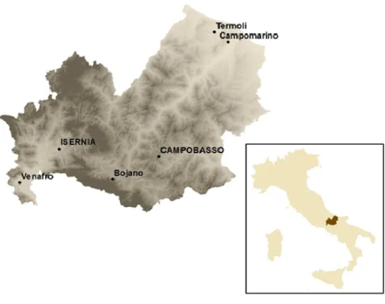 Figure 2.1- Case study, the region of Molise.   