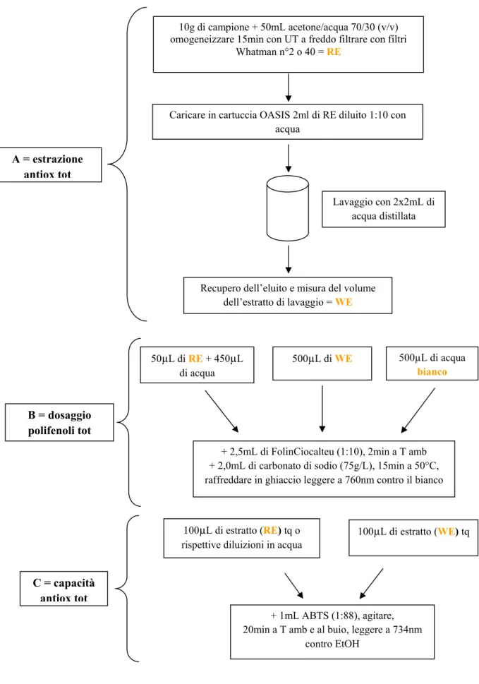 Figura 6. Estrazione e dosaggio dei polifenoli totali e capacità antiossidante in campioni  ortofrutticoli (Georgé et al., 2005)