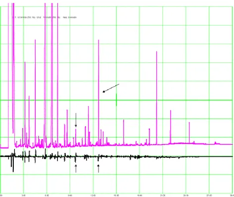 Fig.  1  -  Gaschromatography  recording  coupled  with  an  electroantennography  (GC-EAD) carried out by the applicant