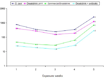 Fig. 3 - Total catches of D. suzukii with different species of lactic acid bacteria. 