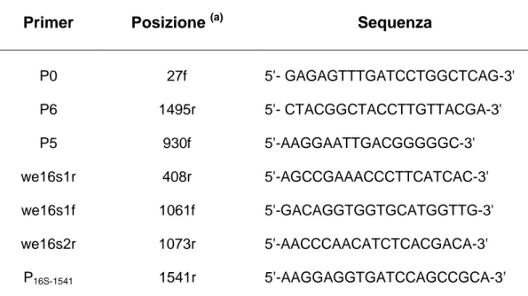 Tabella  2.2  Oligonucleotidi  utilizzati  per  l’amplificazione  del  frammento  del  gene  16S rRNA e per il successivo sequenziamento 