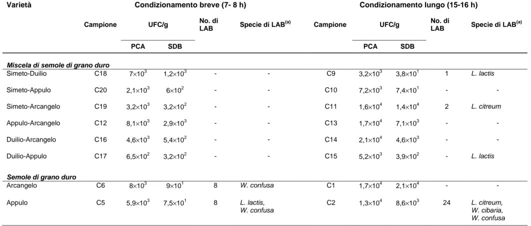 Tabella 2.3 Popolazione batterica mesofila totale (PCA) e LAB (SDB) isolata da semole rimacinate e semole integrali di grano 