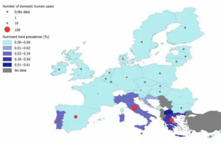 Figura 2: numero di casi umani confermati di brucellosi acquisita a livello locale e prevalenza nella UE di  allevamenti bovini e ovi-caprini positivi nel 2018 [1].