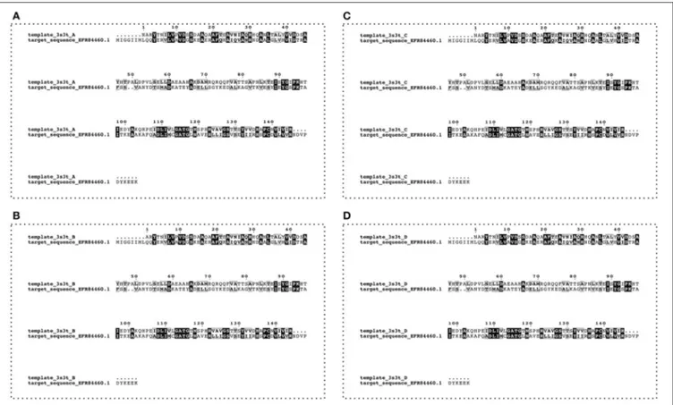 FIGURE 1 | Alignment between target (Uniprot accession number A0A0E1Y4Z4—L. monocytogenes FSL F2-208) and template (four chains—A, B, C, and D—from PDB code:3s3t—Lb