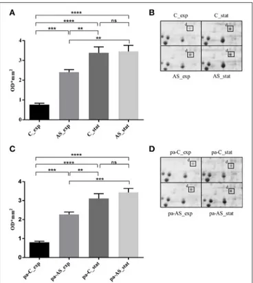 FIGURE 4 | Expression of L. innocua ATCC 33090 USP under physiological or acid stress condition represented as spot area revealed in non-pre-acid-adapted cells (A) or in pre-acid-adapted cells (C) and as high magnification of 2-DE gels of the proteome from