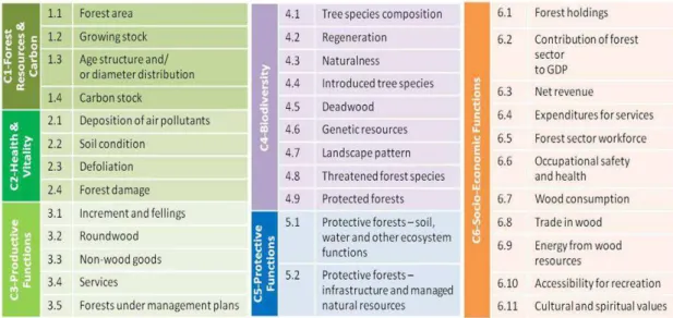 Figure 1: Set of Criteria and Indicators (C&amp;I) for SFM adopted in the fourth MCPFE and current used at Pan European level.