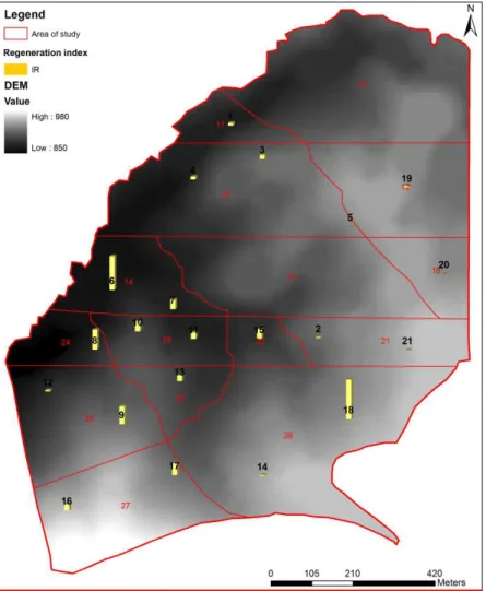 Figure 11: Distribution of Regeneration Index among the study Area. The black numbers indicate the identification number of  transects, while the red numbers indicate the identification number of forest stands