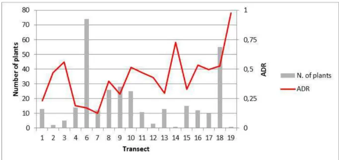 Figure 12: Trend of ADR (Apical Dominance Ratio). The grey bars represent the number of plants of silver fir natural  regeneration, within the transects