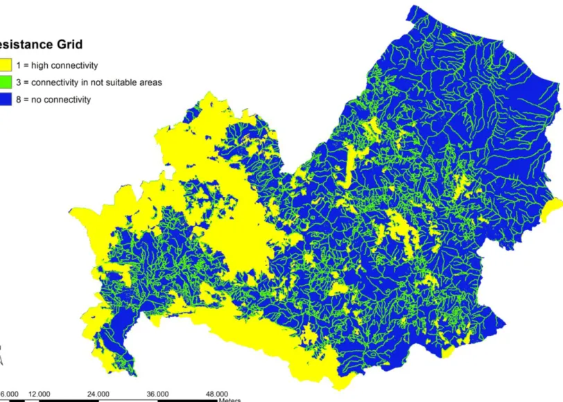 Figure 4. Resistance surface. 1= high connectivity, suitable areas of the model and slope, forest edges, hydrography in 