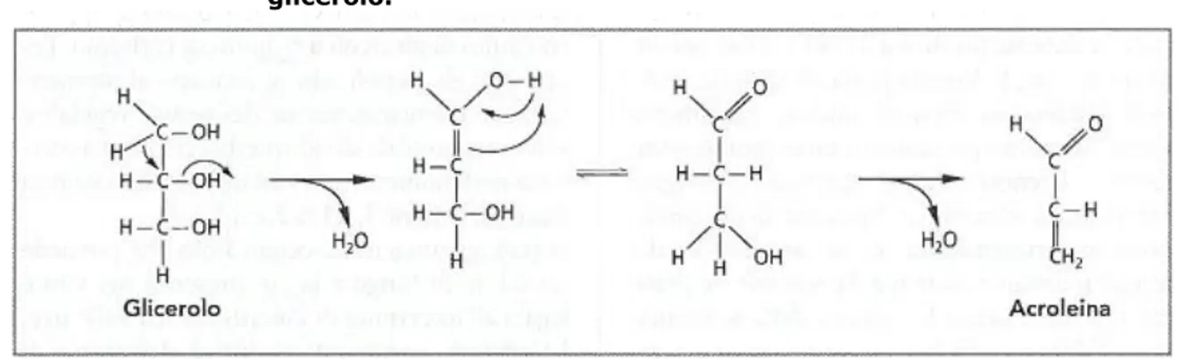 Figura  4.4.1 - Meccanismo  della  formazione  di  acreolina  per  doppia  disidratazione  del  glicerolo
