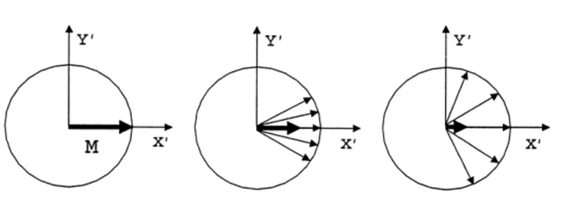 Figura  2.6.  Defasamento  degli  spin  e  rilassamento  trasversale  della  magnetizzazione  nel  sistema  di 