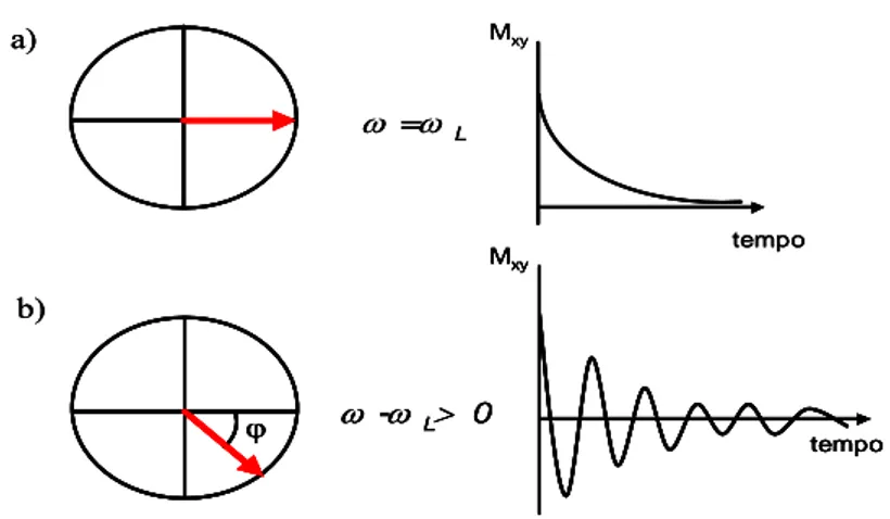 Figura  2.7.  a)  Decadimento  esponenziale  della  magnetizzazione  nel  tempo  quando  ω=ω L ;  b) 