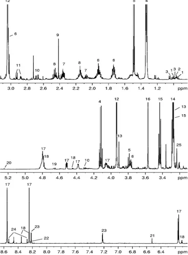 Figura 4.1: Spettro  1 H NMR di estratto acquoso di campioni di spigola. 1 isoleucina; 2 leucina; 3 valina;  4  acido  lattico;  5  alanina;  6  lisina;  7  acido  glutammico;  8  glutammina;  9  acido  succinico;  10  acido  malico;  11  asparagina;  12  