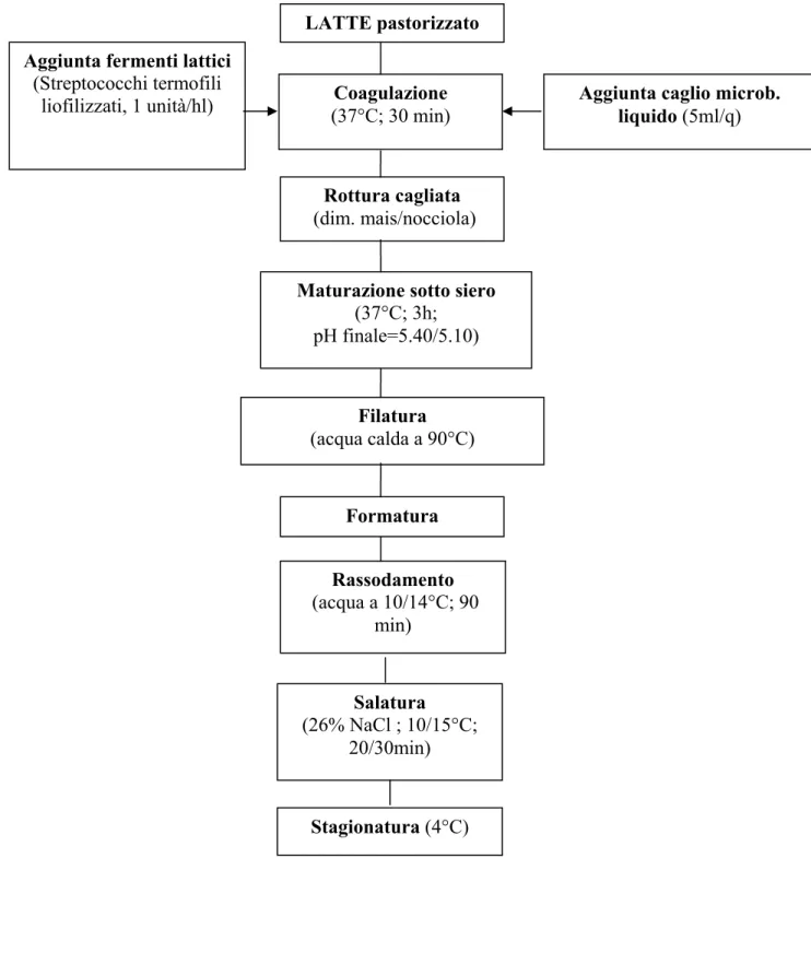 Figura 3. Schema di produzione delle scamorze passite 