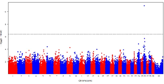 Figure  II-2. Manhattan plots of GWAS results showing the significance of SNP associations  for C14:1c9 fatty acid (FA) trait in the Italian Simmental (IS) breed