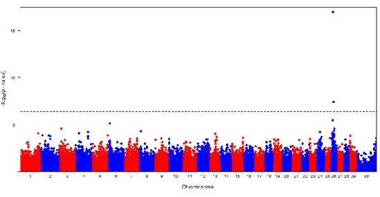 Figure  II-4. Manhattan plots of GWAS results showing the significance of SNP associations  for ID 14-1/(14+14-1) fatty acid (FA) trait in the Italian Simmental (IS) breed
