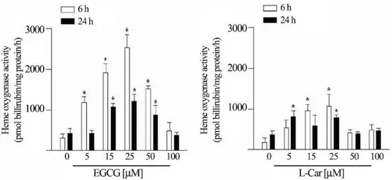 Figura  4:  Heme  oxygenase  activity  of  mouse  cortical  neurons.  The  amount  of  bilirubin 