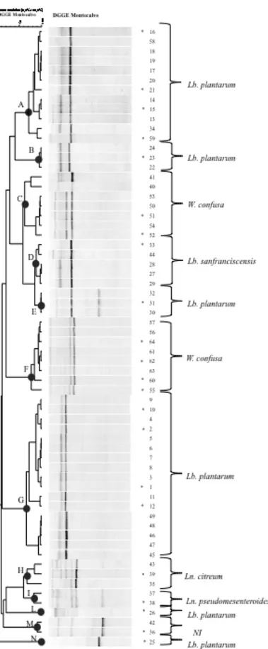Figure  2.1  Dendrogram  showing  the  similarity  among  DGGE  profiles  of  64  lactic  acid  bacteria  isolated  from 