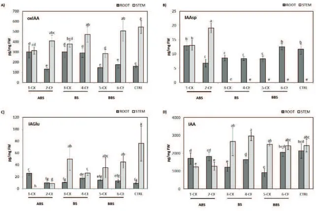 Fig.  1.  Auxin  metabolites  profiling  in  different  bent  sectors  of  P.  nigra  root  and  stem