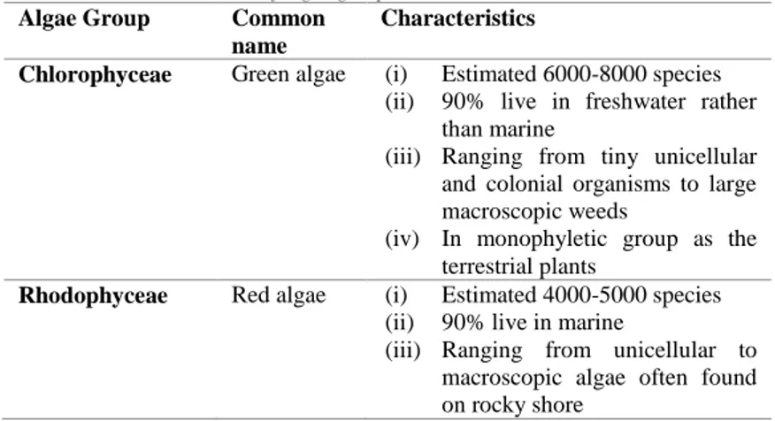 Table 1. – The characteristics of algae groups 