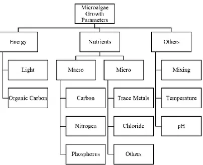 Figure 1.-. Schematic diagram of microalgae growth parameters including energy sources,  nutrients and other factors