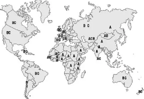 Figure 1.3: worldwide distribution of major meningococcal serogroups.