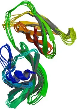 Figure 1.5: solution structure of menigococcal factor H binding protein. The image was derived from coordinates of RCSB PDB database accession numbers 2KC0 (Cantini et al., 2006).