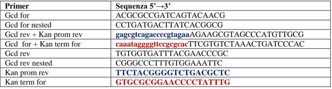 Tabella 6. Composizione e ciclo termico della reazione PCR per l'amplificazione della cassetta di  resistenza alla kanamicina